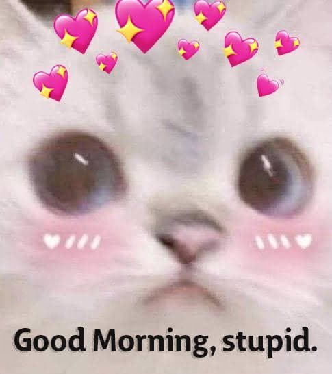 Good Morning Meme